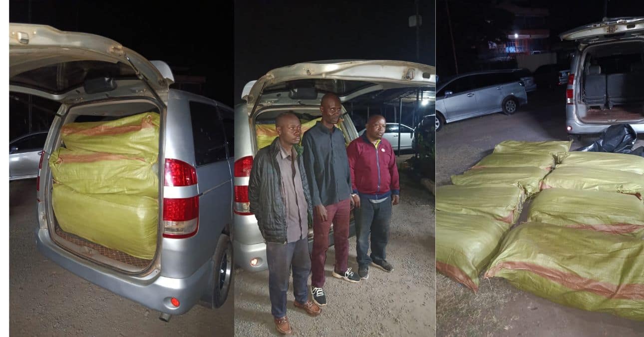 Three Arrested as Detectives Seize KSh8 Million Cannabis in Athi River
