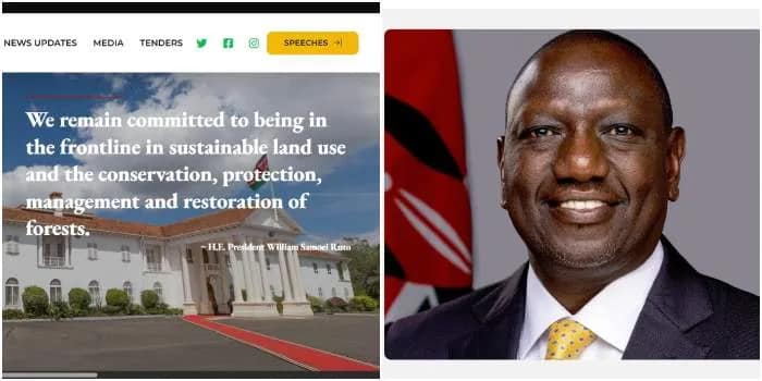 President William Ruto's official website restored after alleged cyberattack