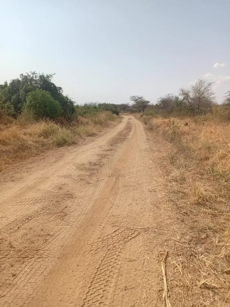 County Government Delivers 10km Nawoiyaregai-Kaputir-Nakuse Road Upgrade