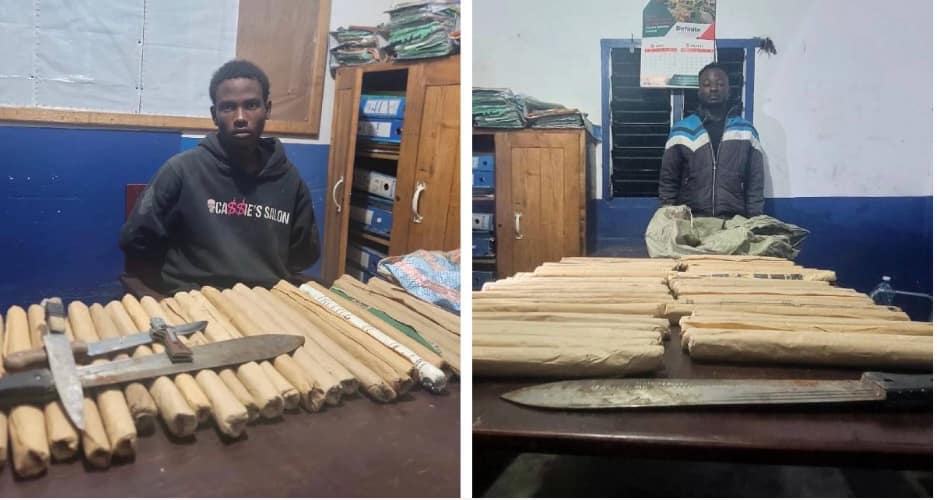 Two Suspected Drug Traffickers Arrested as Police Seize 84 Rolls of Cannabis in Kilifi