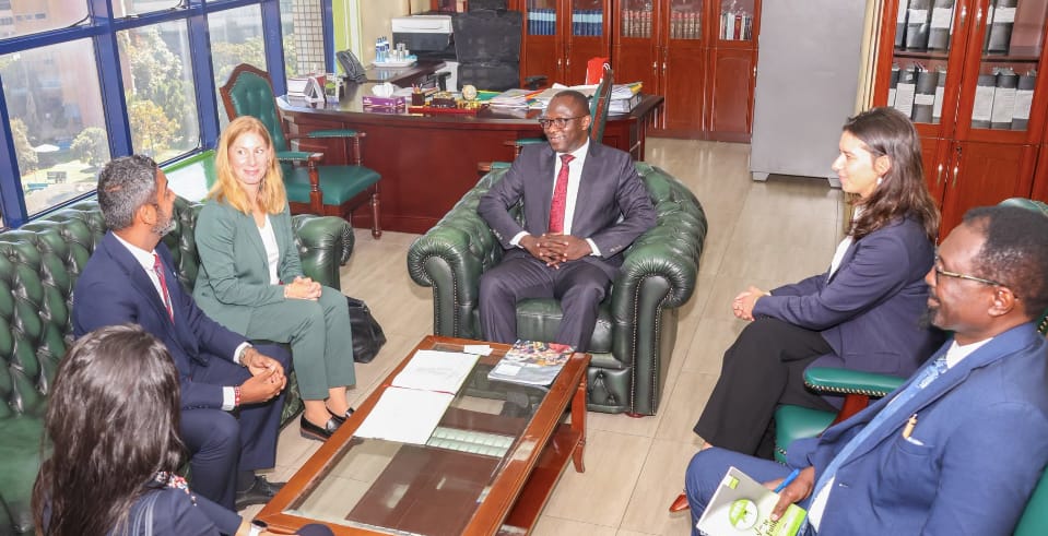 IEBC ballot paper and ballot box colours for the 2027 General Election